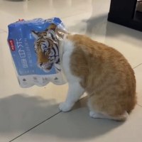 나이가 글케 적은편도 아닌데