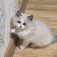 슬퍼할 시간조차 없구나