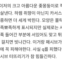 모데 디시위키 서술 진짜 화끈하네