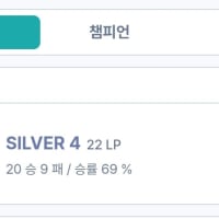 인생 첫 실버