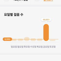 어제 4만 8천보 걸은 사람: