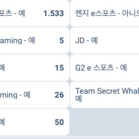 퍼탠 우승자 배당률