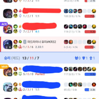 서폿으로 열심히 해도