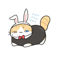 약ㅎㅂ) 바니걸 이렘...