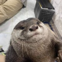 아 살 왤케 쪘냐