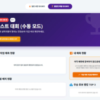 👉한번에 팀 뽑아서 진행하는 30~40명 내전