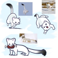 해삐 제비