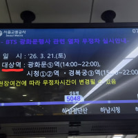 잰장... 이제는 지하철까지 대상혁이라니