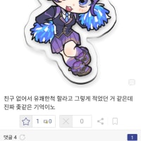 중학생때 흑역사를 만들어버린 디시유저