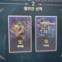 형제 이상형월드컵