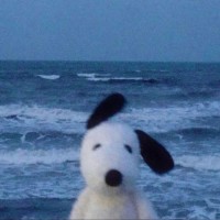 Lec 너무 강하다아아앙