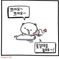 물걸레질 쪼아요