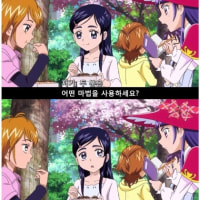 프리큐어 유머 짤방의 진실