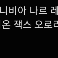 프로들이 쓰는 챔들로 저티어가 솔랭하면 어떻게 될려나