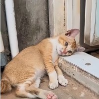 지금 내모습