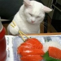 초밥이 먹고 싶소이다