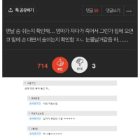 분명 슬픈글인데...