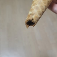 어두워서 몰랐는데