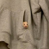 몬가 졸린데 자기 시러