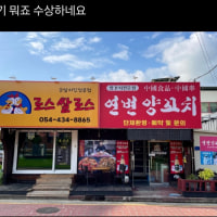 뭔가 정말 수상한 한국의 치킨집