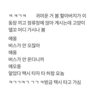 아니ㅋㅋ 귀여우시다