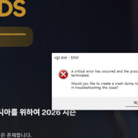 롤 패치중vgc오류 해결방법 아시는분
