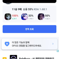 옵붕이 최근20겜 전적