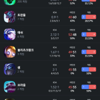 내 챔프폭이 좀 이상한가