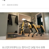 나ㅈ됨...
