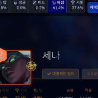 세나 왜 원딜됨