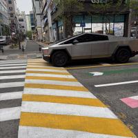 병원들렀다 집가는데 사이버트럭 봄