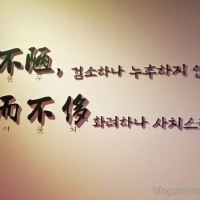 꾸안꾸는 한반도의 유구한 전통...