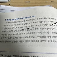 studying society