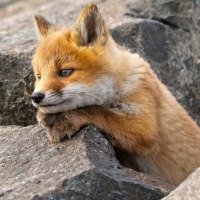 이럴거면 처음부터 빅라를 내리지 말던가