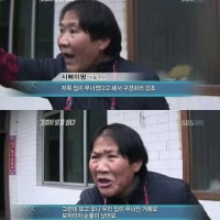 LCK 논란이 터졌다 해서 구경하러 갔죠