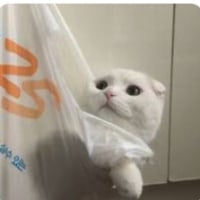 give me a title plz