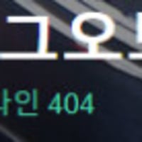 현재 옵지 요약