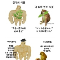 요즘 나라에서 이야기 하는 초등학교