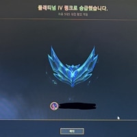 비록 자랭이라도 플레찌금..