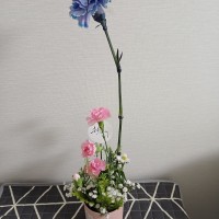 꽃 사왔어요