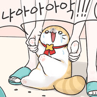 저녁이 더 편해졌네