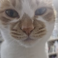 유미