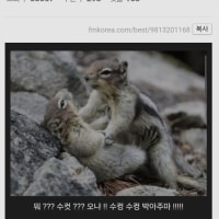 다들 자러간거지?