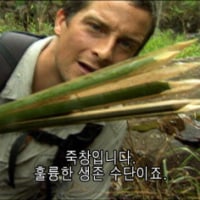 옵지는 망호가 탭이 나뉜 수준이 아니라