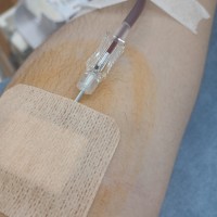 8th blood donation