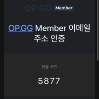 뭔가 이상한 인증번호