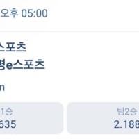 빅 경기 배당률