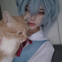 Ayanami Cosplay