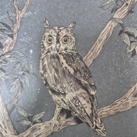 Scops Owl Gijinka