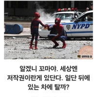 인생은 실전이란다 얘야